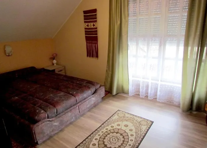 Leander Vendeghaz בית הארחה 3*
